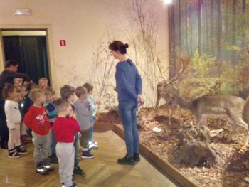Biedroneczki – wycieczka do Muzeum Przyrody.